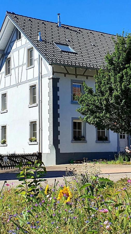 Apartment Kerbholz - Zwischen Suedschwarzwald Und Schweiz Griessen Exterior foto